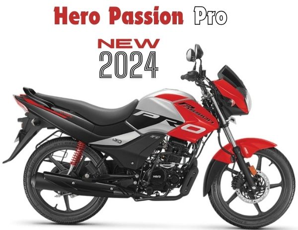 Hero Passion Pro