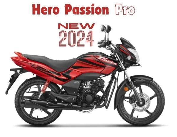 Hero Passion Pro